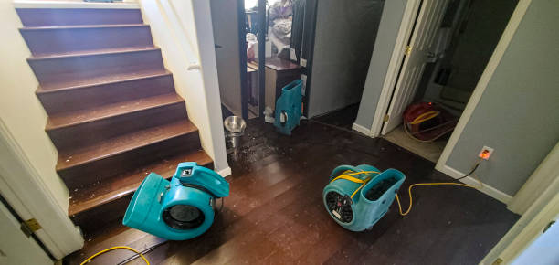 Best Carpet water damage restoration  in Emerson, NJ