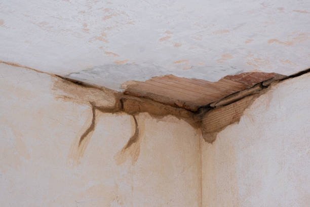 Best Emergency water damage restoration  in Emerson, NJ