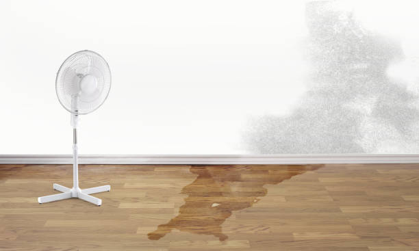 Best Commercial water damage restoration  in Emerson, NJ