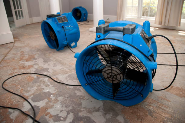 Best Mold removal after water damage  in Emerson, NJ