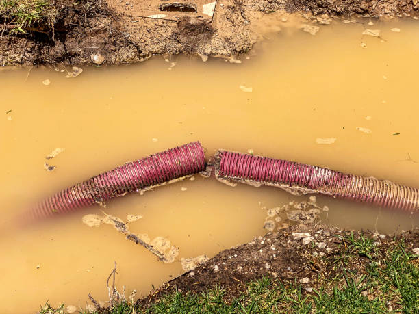 Best Emergency water damage restoration  in Emerson, NJ